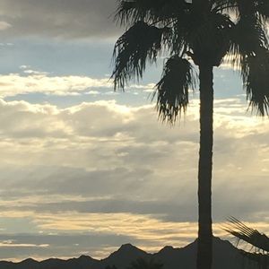 Meet your Posher, Eva